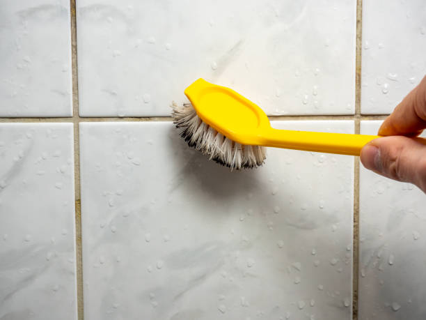 Best Mold Testing and Inspection Services in Armona, CA